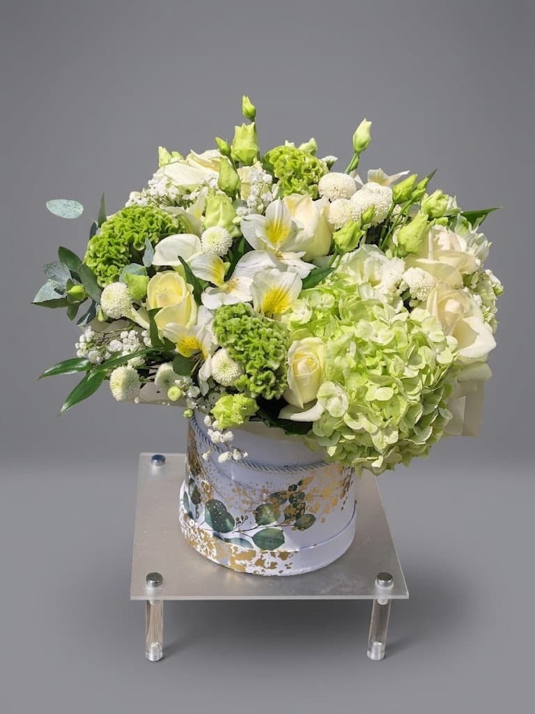 Moonlight Sonata — Kastes, LZ Flowers Rēzekne