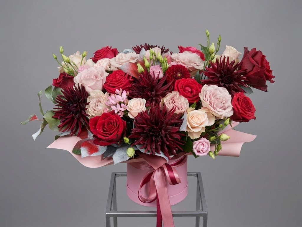 Burgundy Velvet — Kastes, LZ Flowers Rēzekne