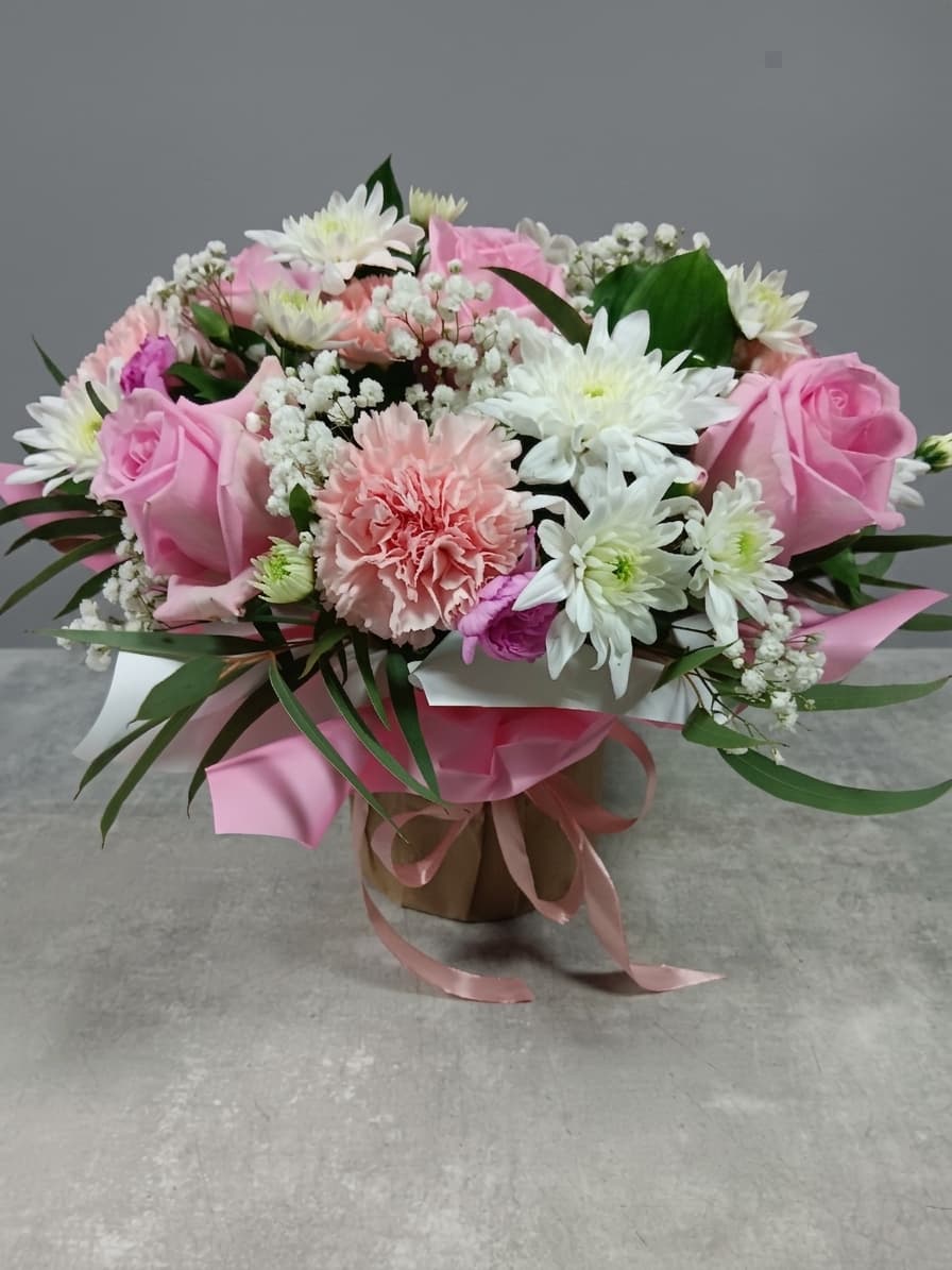 Morning Grace — Kastes, LZ Flowers Rēzekne
