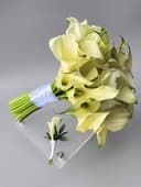 Classic White Calla