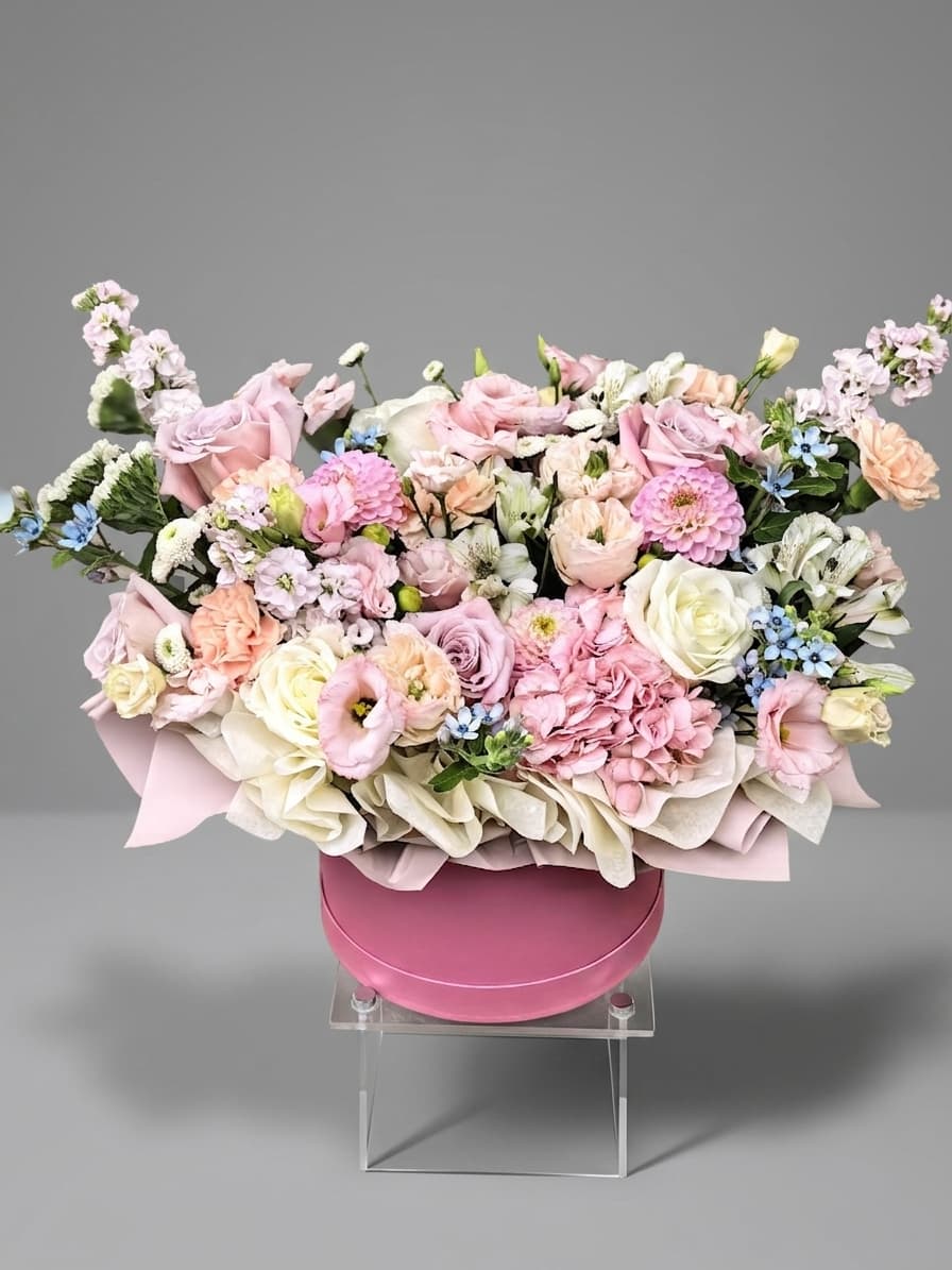 Cotton Candy Cloud — Kastes, LZ Flowers Rēzekne