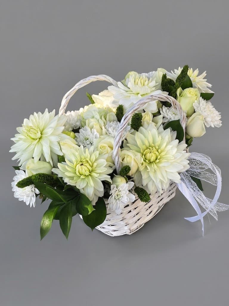 Ivory Dreams — Grozi, LZ Flowers Rēzekne