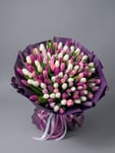 Royal Tulip Deligh