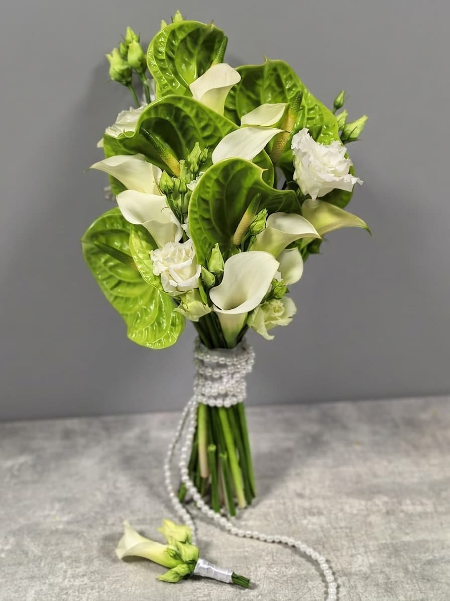 Green Anthurium Grace — Kāzas, LZ Flowers Rēzekne