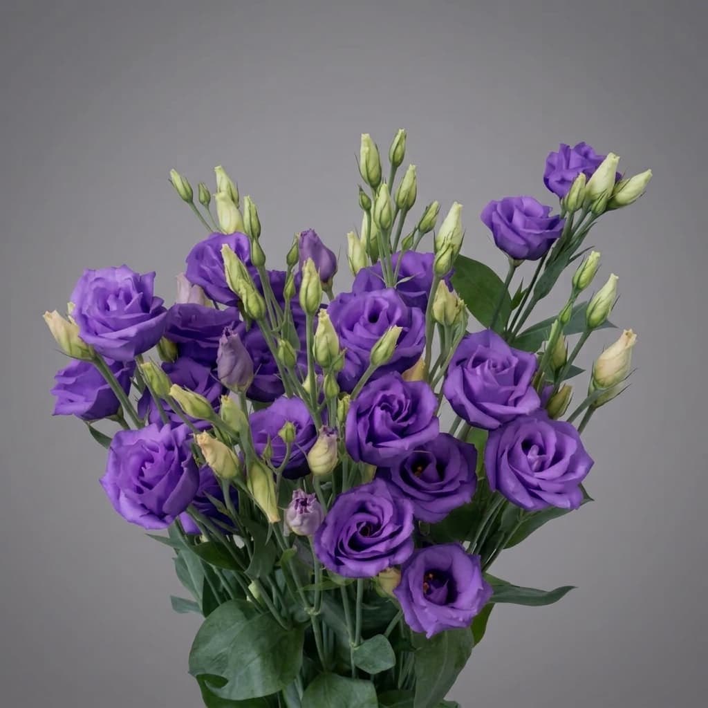 Lizantus purple — Lizantes, LZ Flowers Rēzekne